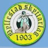 Organization_logo