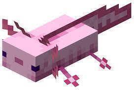 Axolotl – Official Minecraft Wiki