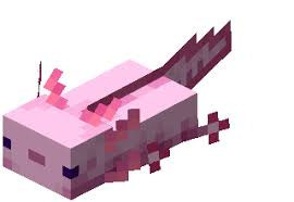 Axolotl | Minecraft Wiki | Fandom